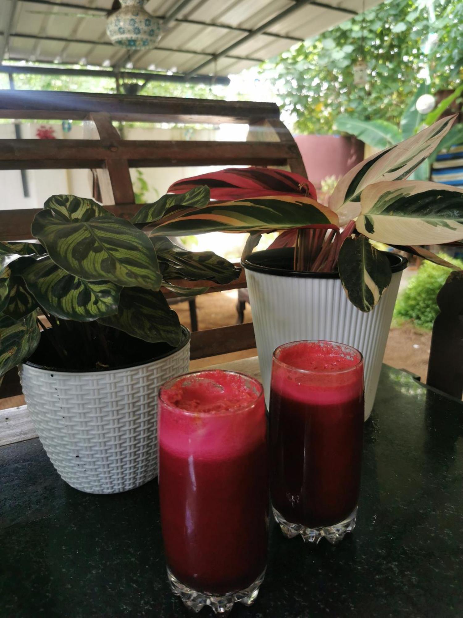Jeehaa Homestay Alappuzha Exteriér fotografie