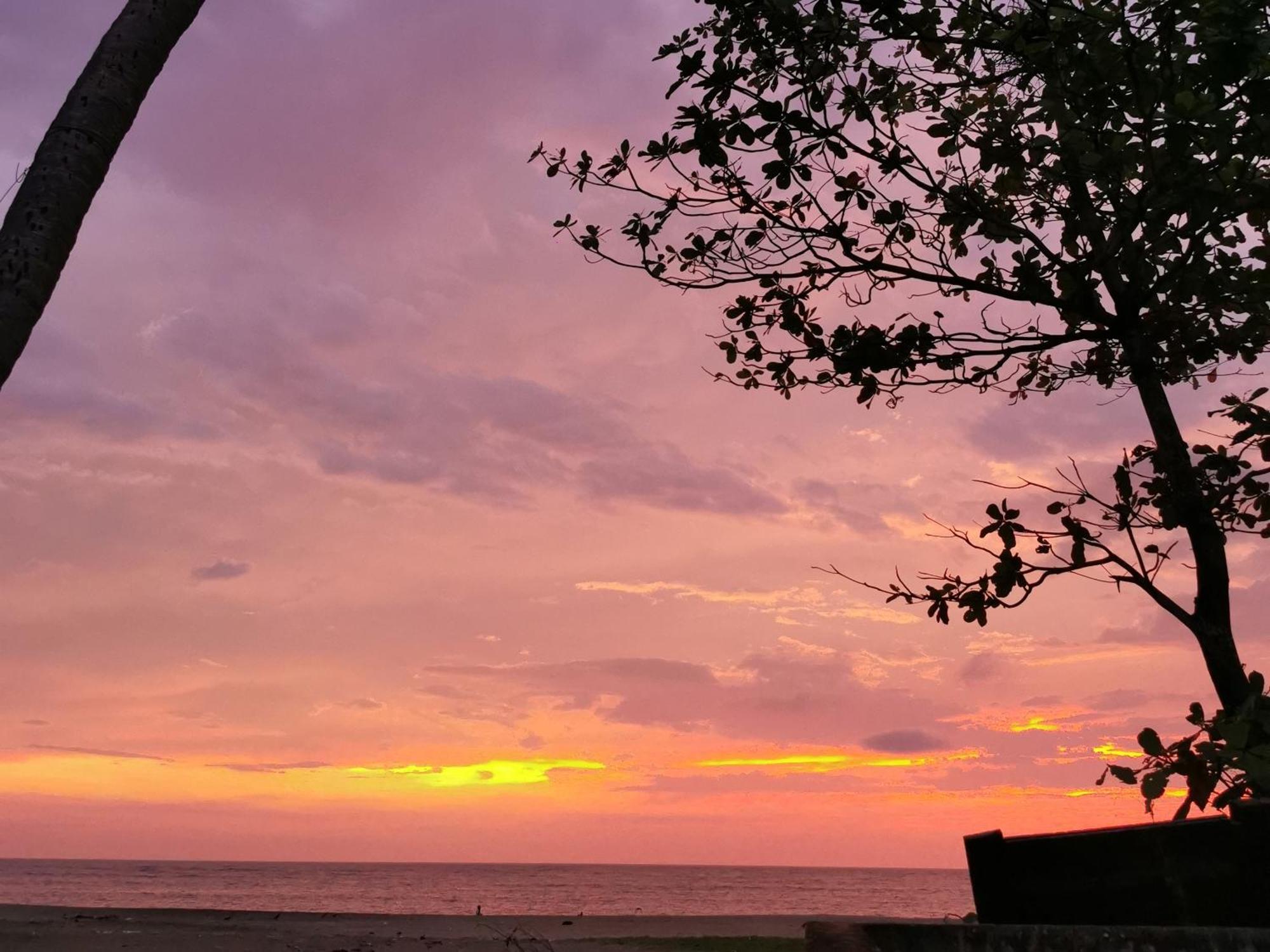 Jeehaa Homestay Alappuzha Exteriér fotografie