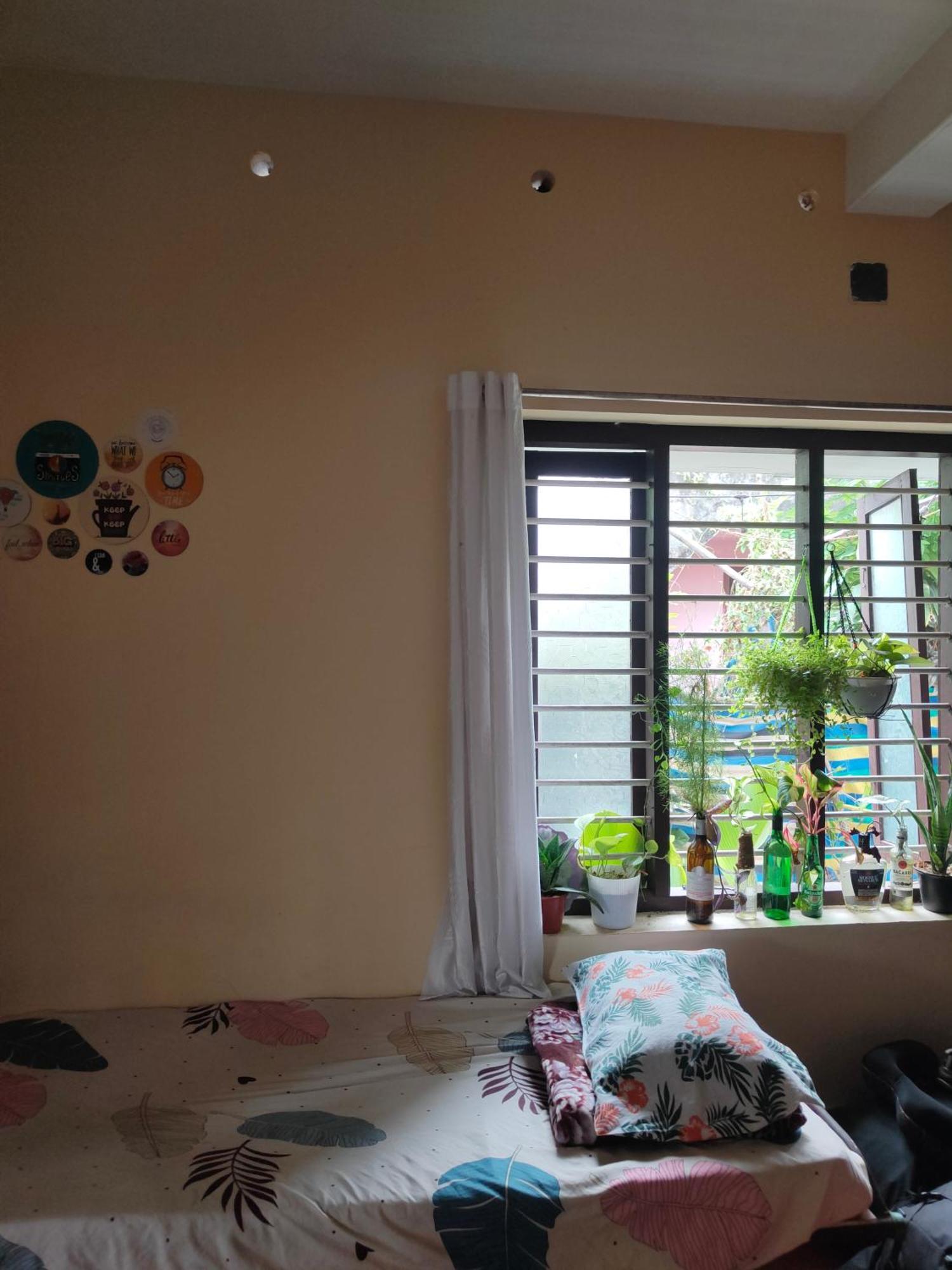 Jeehaa Homestay Alappuzha Exteriér fotografie