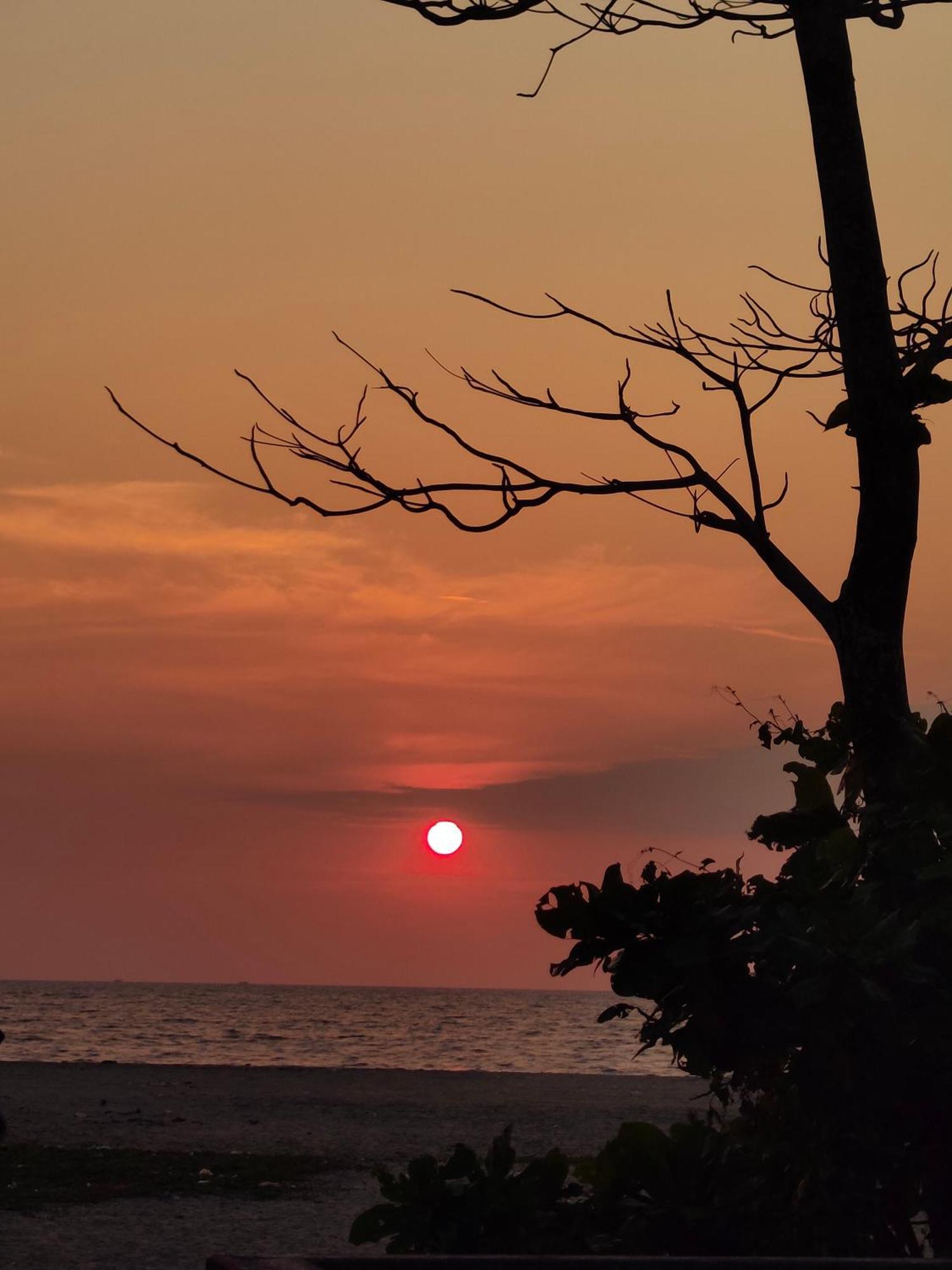 Jeehaa Homestay Alappuzha Exteriér fotografie