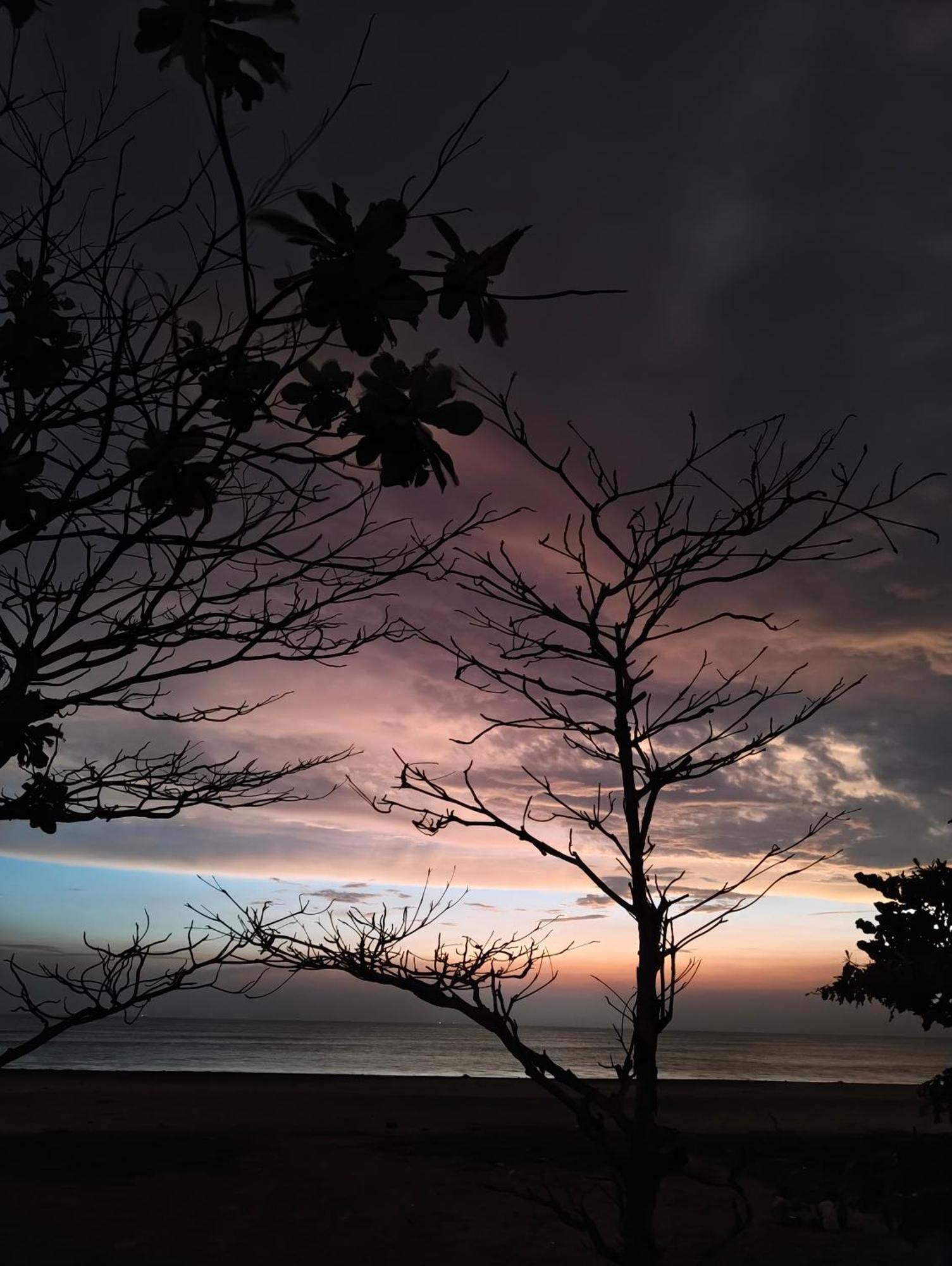 Jeehaa Homestay Alappuzha Exteriér fotografie